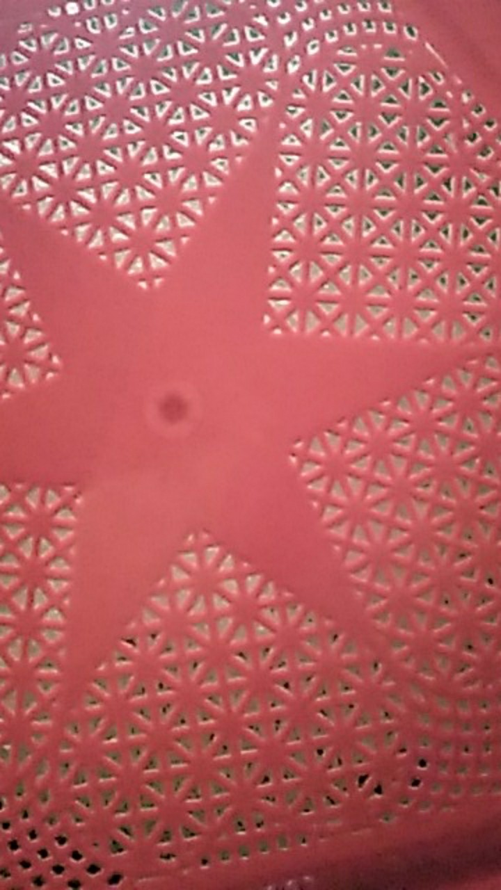 Thinwall 2000ml Sq Food Container Makanan / Kotak Makan