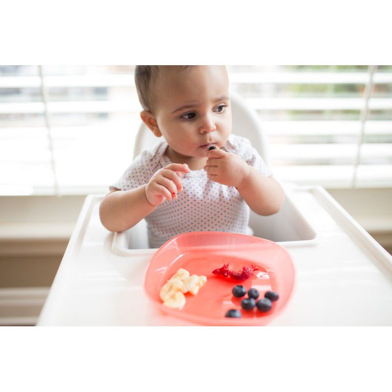 Dr.Brown's Toddler Divided Plate Isi 3 / Piring Sekat Bayi