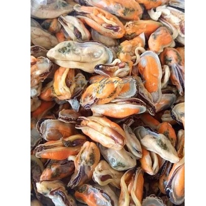

Kerang Hijau Kupas Segar Kerang Ijo Daging Kerang Fresh GARANSI SEGAR