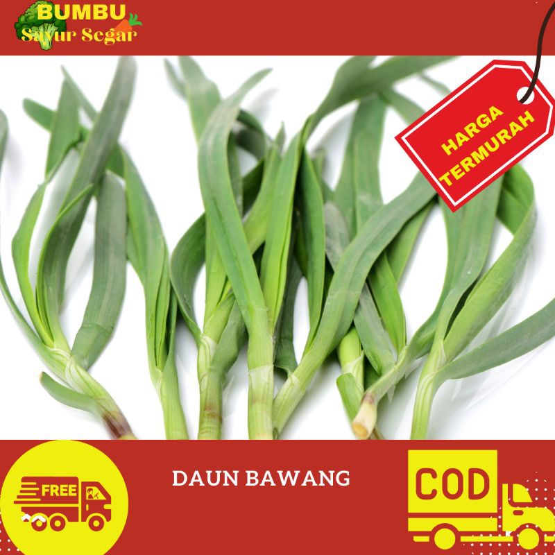 

DAUN BAWANG 250gr