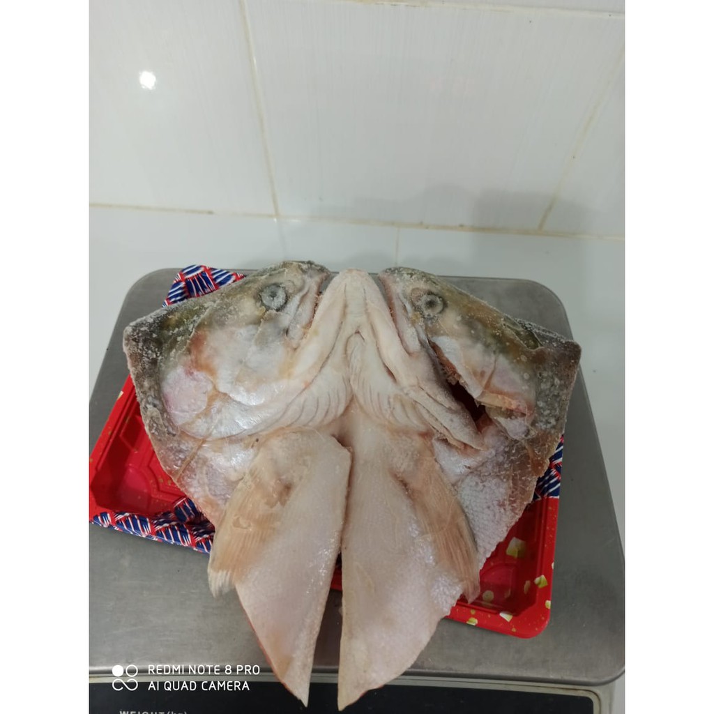 

kepala salmon