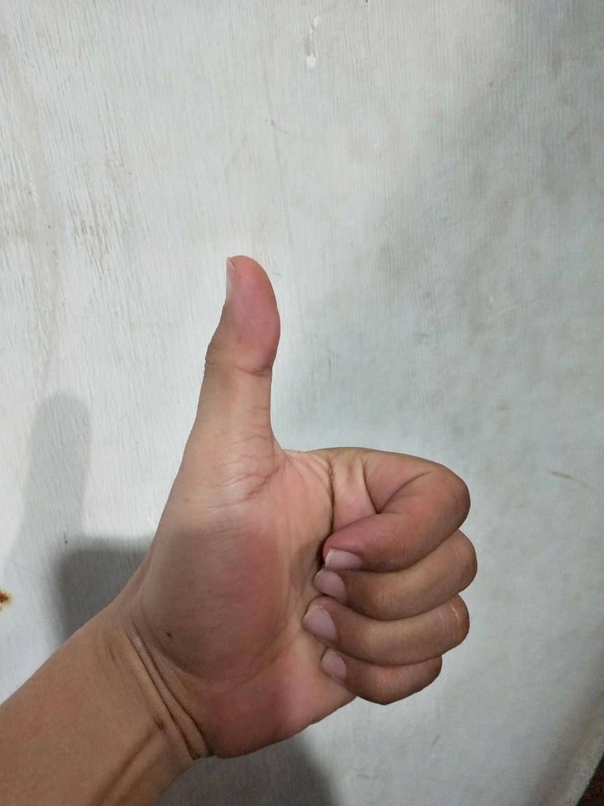 Botol Kale 250 Ml | Kemasan Package Botol Minuman