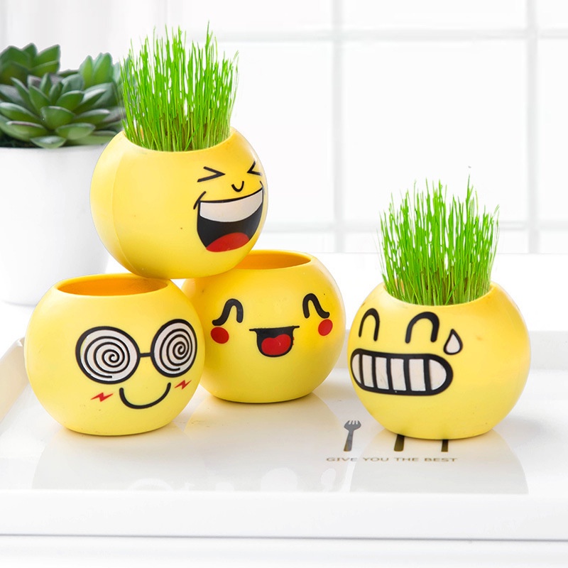 Grosir - 8074 Tanaman Hias Rumput Emoji / Vas Bunga Emoticon Emoji / Pot Emoji Emoticon / Pot Bunga Mini Lucu Imut / Pot Bisa Tumbuh Rumput