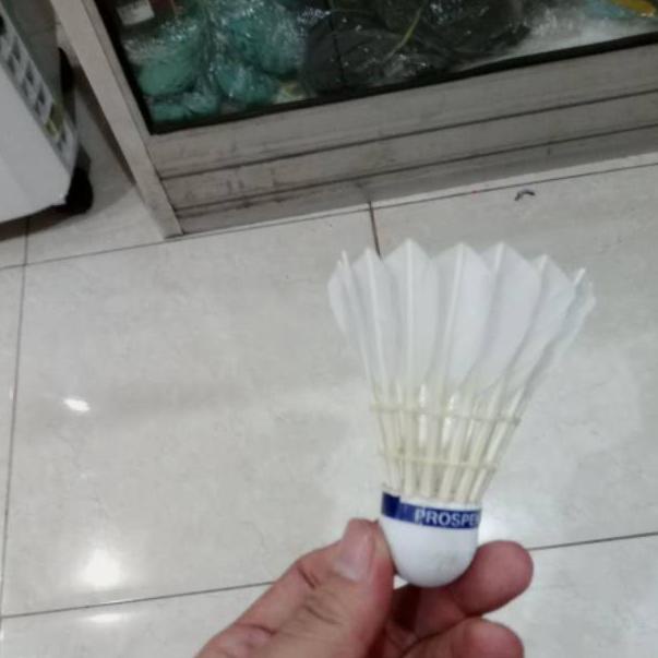 Shuttlecock badminton prospek spesial  Kok badminton prospek spesial // prospek // prospek biru | GU