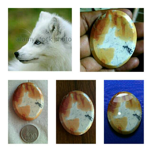 Batu Gambar Rubah Fox