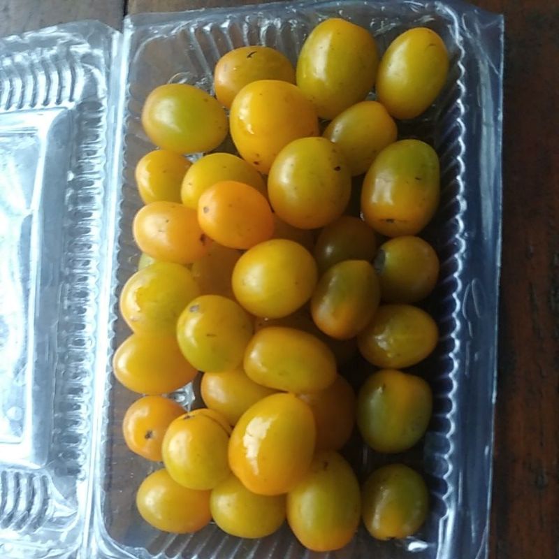 

Tomat mini Ceri segar 500gram