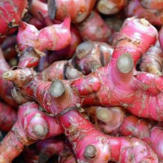 

Termurah (COD) Jahe Merah (SUPER) 1 KG