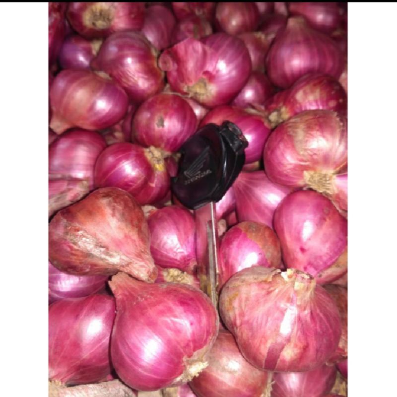 

BAWANG MERAH jawa KERING 1 KG panen