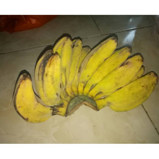 

Pisang kepok