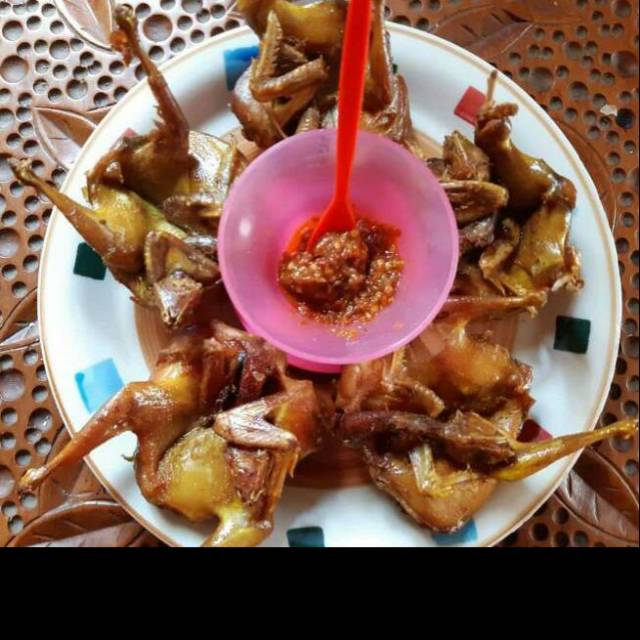 

Burung Puyuh