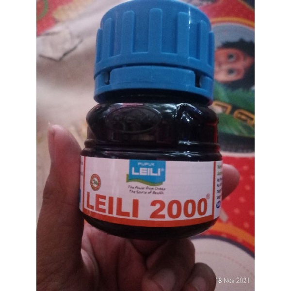LEILI 2000