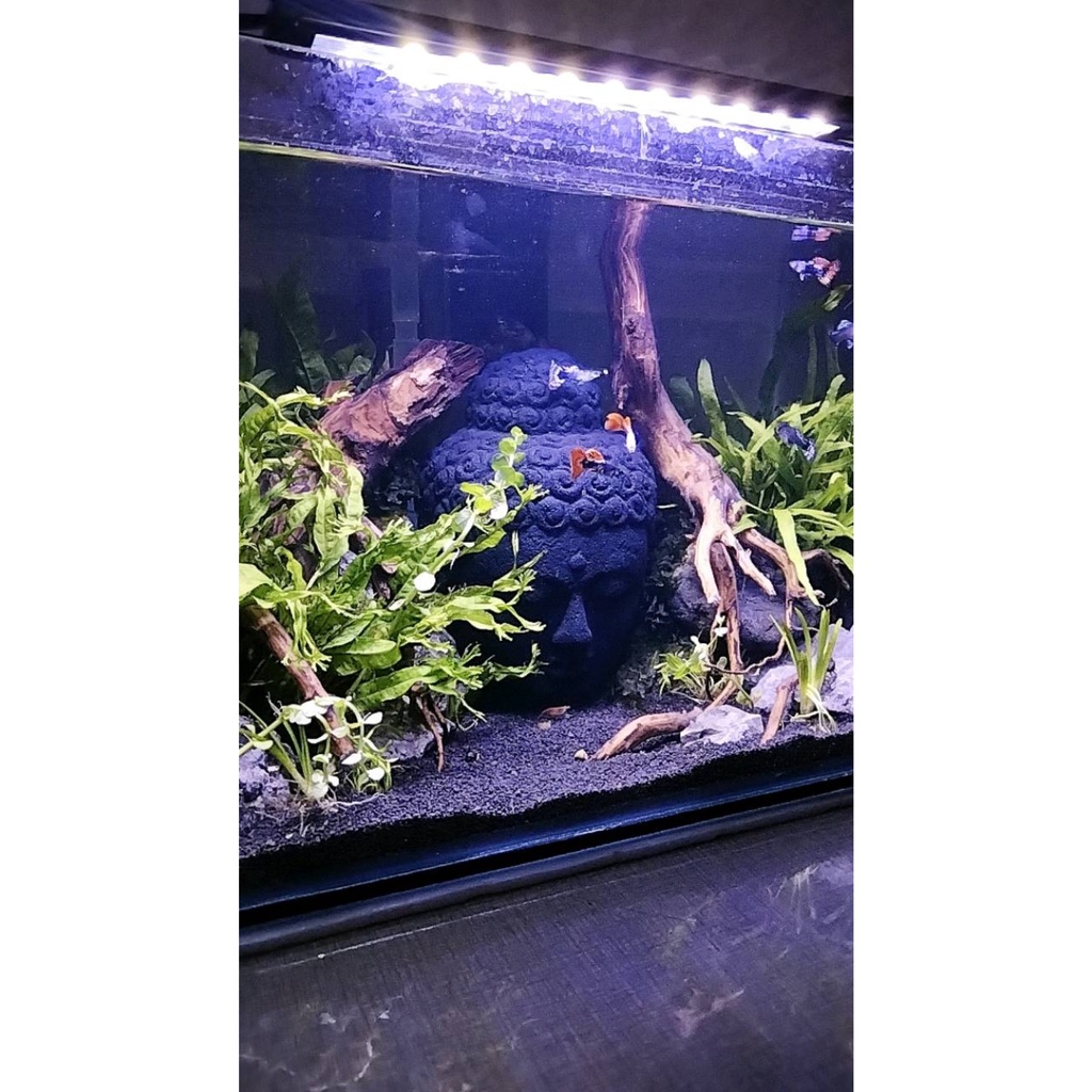 Miniatur Hiasan Aquarium Kepala Budha Besar Fiberglass