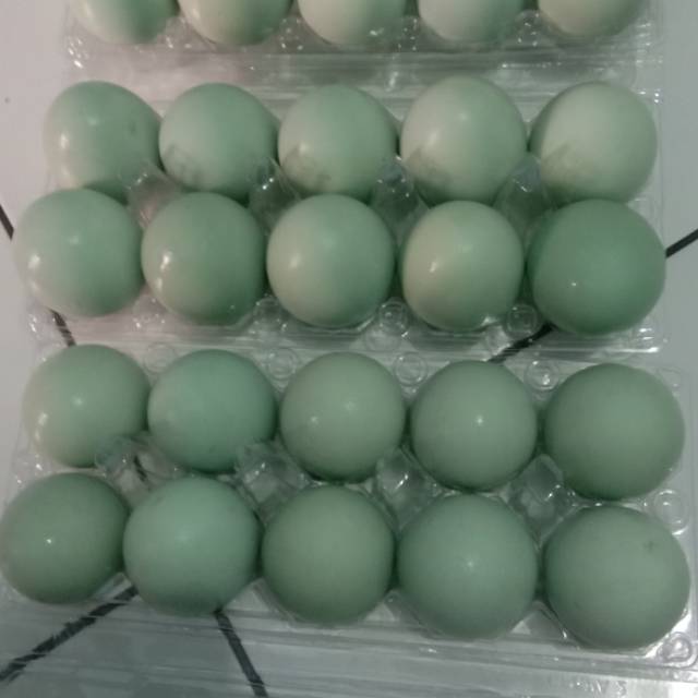 

Telor asin omega 3/10 butir