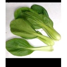 

Pakcoy Organik 250g