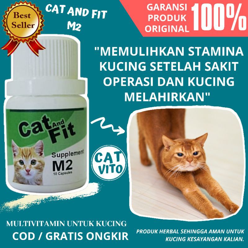 VITAMIN STAMINA KUCING CAT AND FIT M2 UNTUK KUCING HAMIL PASCA SAKIT OPERASI DAN MELAHIRKAN