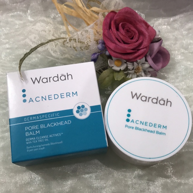 WARDAH ACNEDERM PORE BLACKHEAD BALM 20 Gr