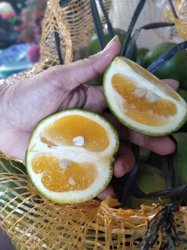 Rama Shinta Couple - Melani Set Couple Lilit Rovella Batik Couple Modern