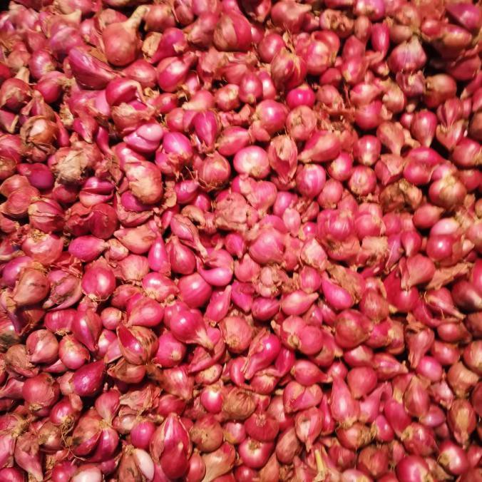 

Cuci Gudang Awal Tahun Bawang merah Brebes 500 gram - fresh - 250gram Big Sale