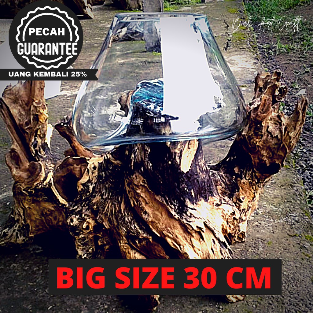 AKUARIUM MINI IKAN CUPANG SUPER BIG SIZE 30 CM / KACA TIUP AKAR BALI / AQUASCAPE / POT TANAMAN HIAS