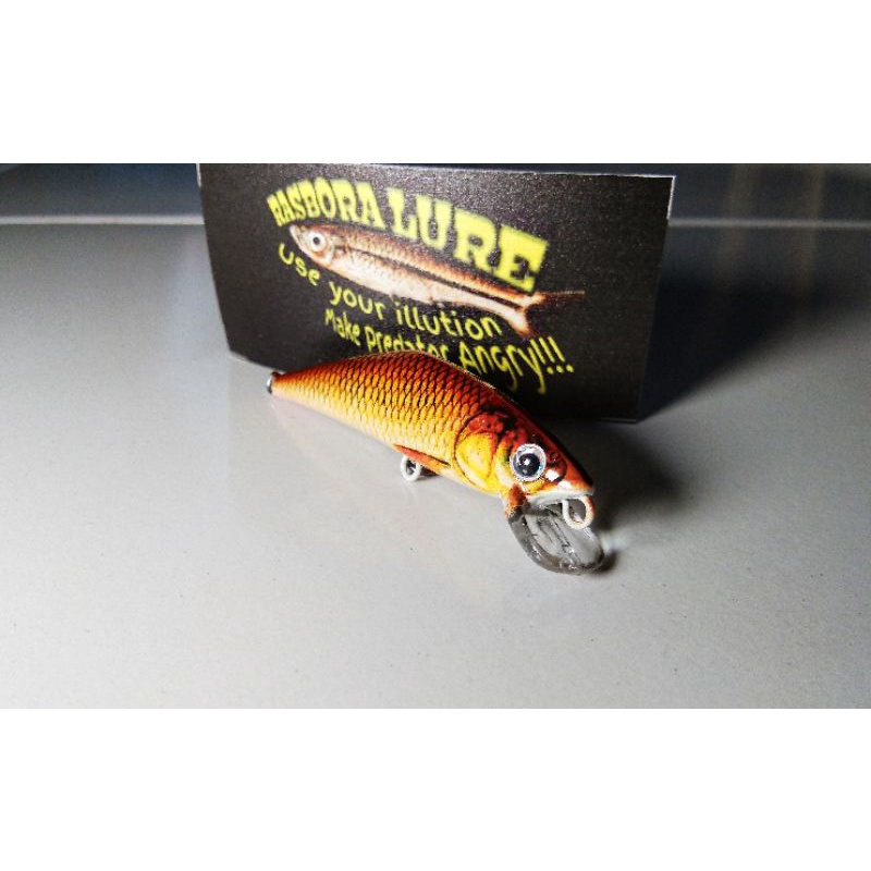 Rasbora Lure Rep.Kraken graskap