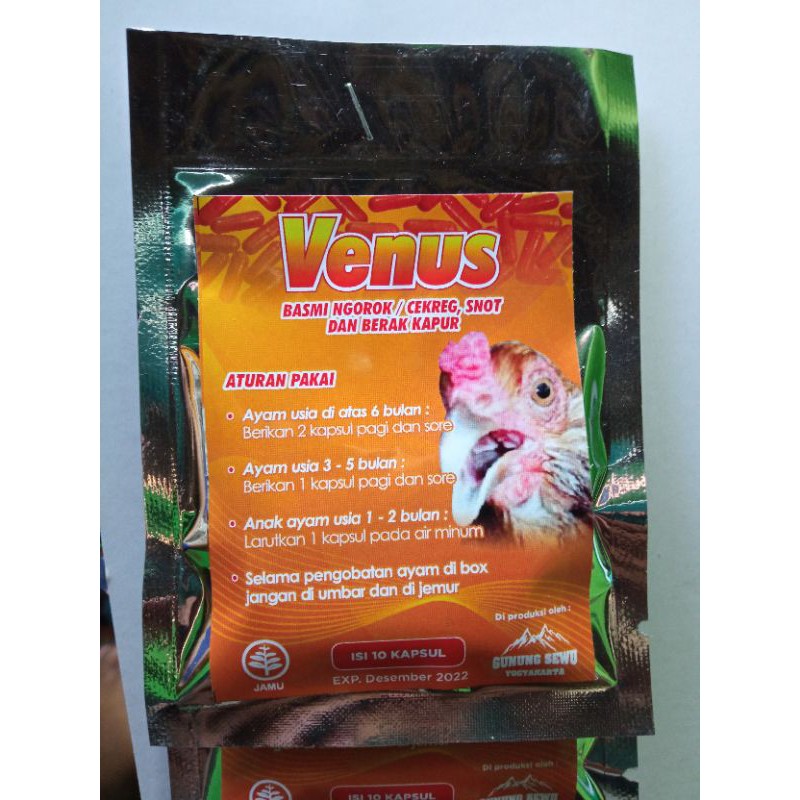 OBAT NGOROK VENUS AYAM ADUAN