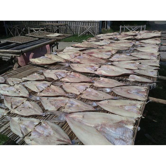

Ikan asin jambal roti