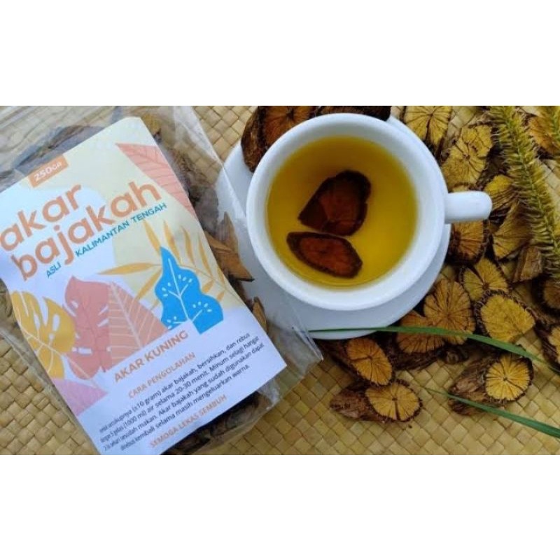 akar bajakah kalimantan asli100%