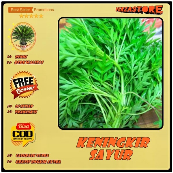 Jual Biji Benih Kenikir Sayur Lalap Bibit Sayuran Hijau Butir Indonesia Shopee Indonesia