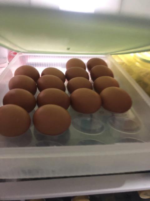 Kotak Telur / Tempat Telur / Box Telur / Rak Telor / Tempat Telor Ayam [ Isi 24 Pcs]