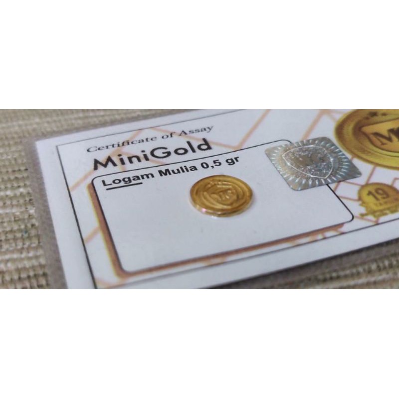 MiniGold 0,5 gram