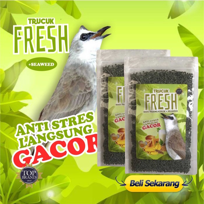 VOER TRUCUK COCAK IJO EXTRA SEAWEED MADU JANGKRIK PISANG - KOEDAPAN BIRD SHOP