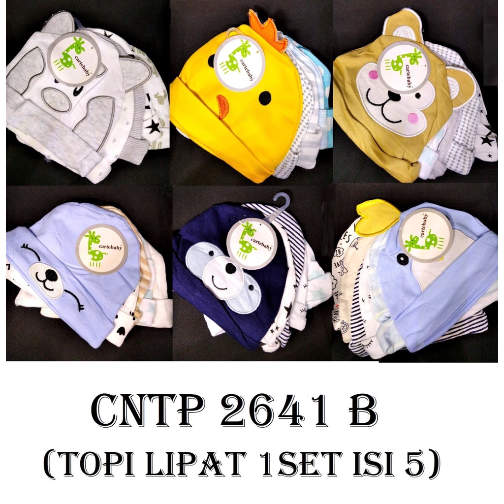 Fashion Baby Topi Baby Lipat Bordir 5pcs  MOTIF RANDOM FB-TPSBL5PC