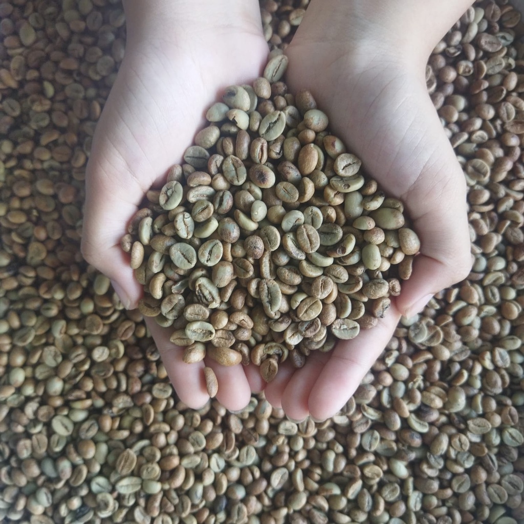 Green Bean Robusta Pupuan Bali Petik Merah - Honey Process 1kg