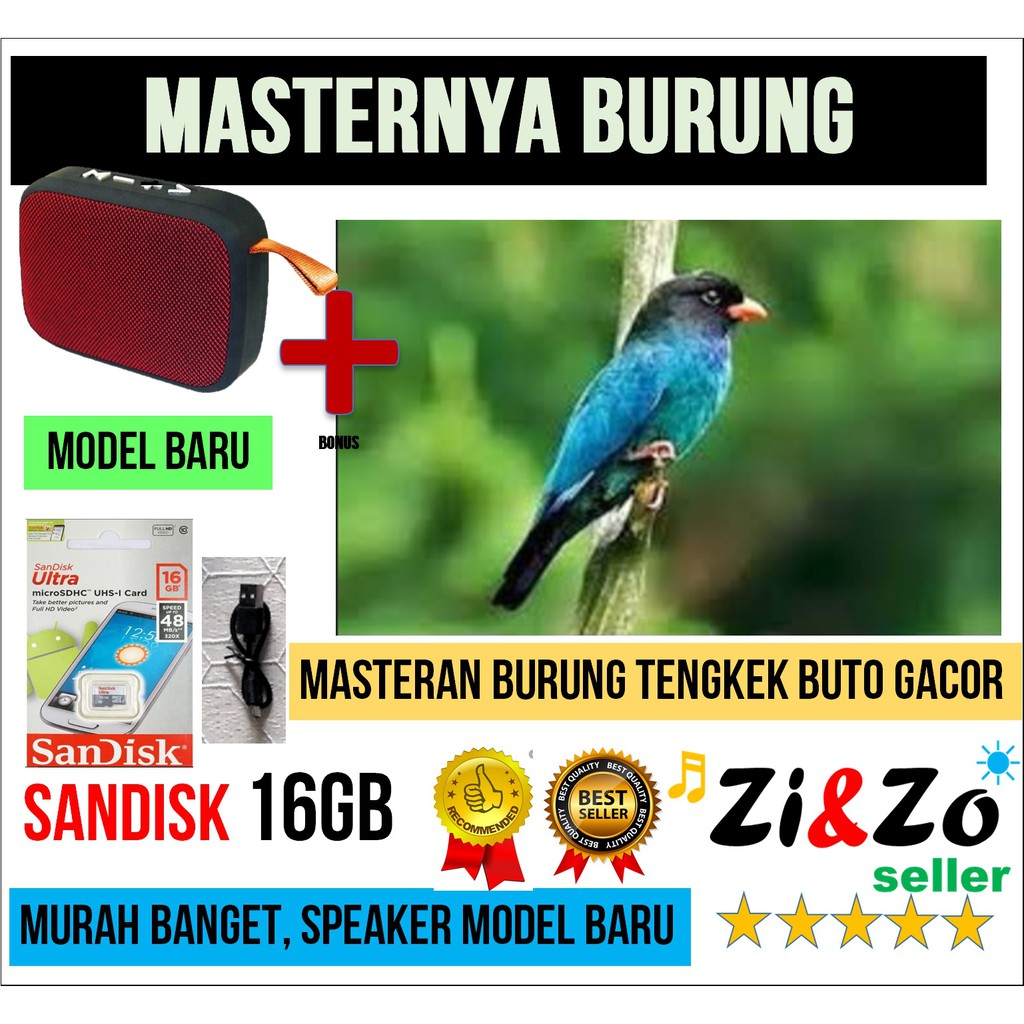 Masteran Burung Tengkek Buto Termurah