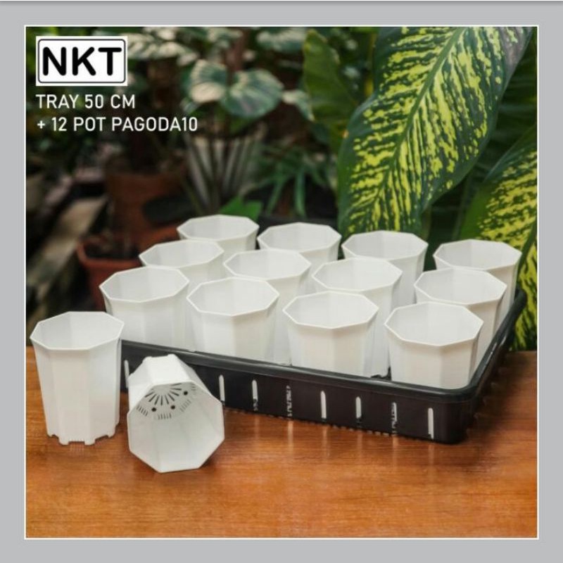 Tray 50 cm + pot pagoda 10 cm | warna putih