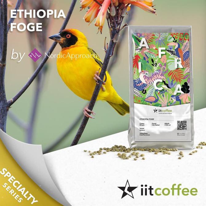 

Kopi- Arabica Green Beans - Ethiopia Foge - 1Kg -Biji-Kopi.