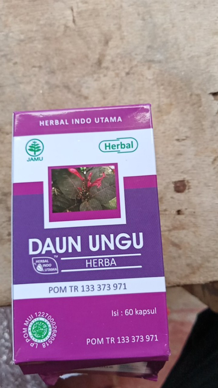 Obat Wasir Hiu Daun Ungu / Obat Ambeien / Obat Wasir Herbal / Kapsul Daun Ungu / Obat Ambeyen