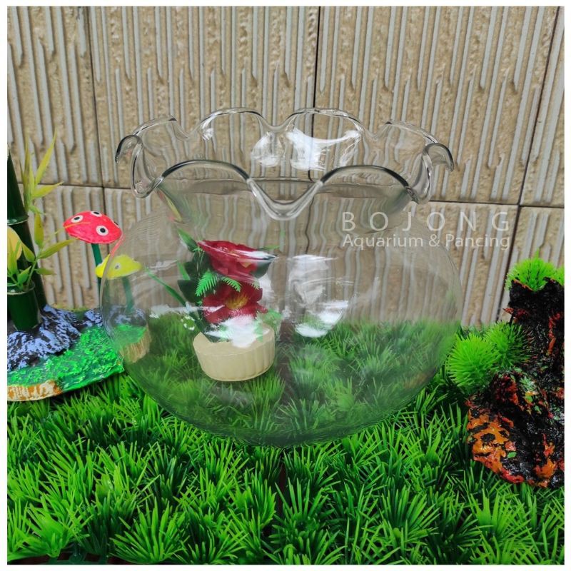 Aquarium Bulat 1.5 liter Fish Bowl untuk cupang/ikan kecil