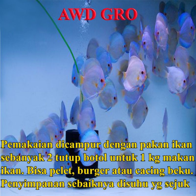 AWD Gro obat hormon untuk pertumbuhan burayak Discus.