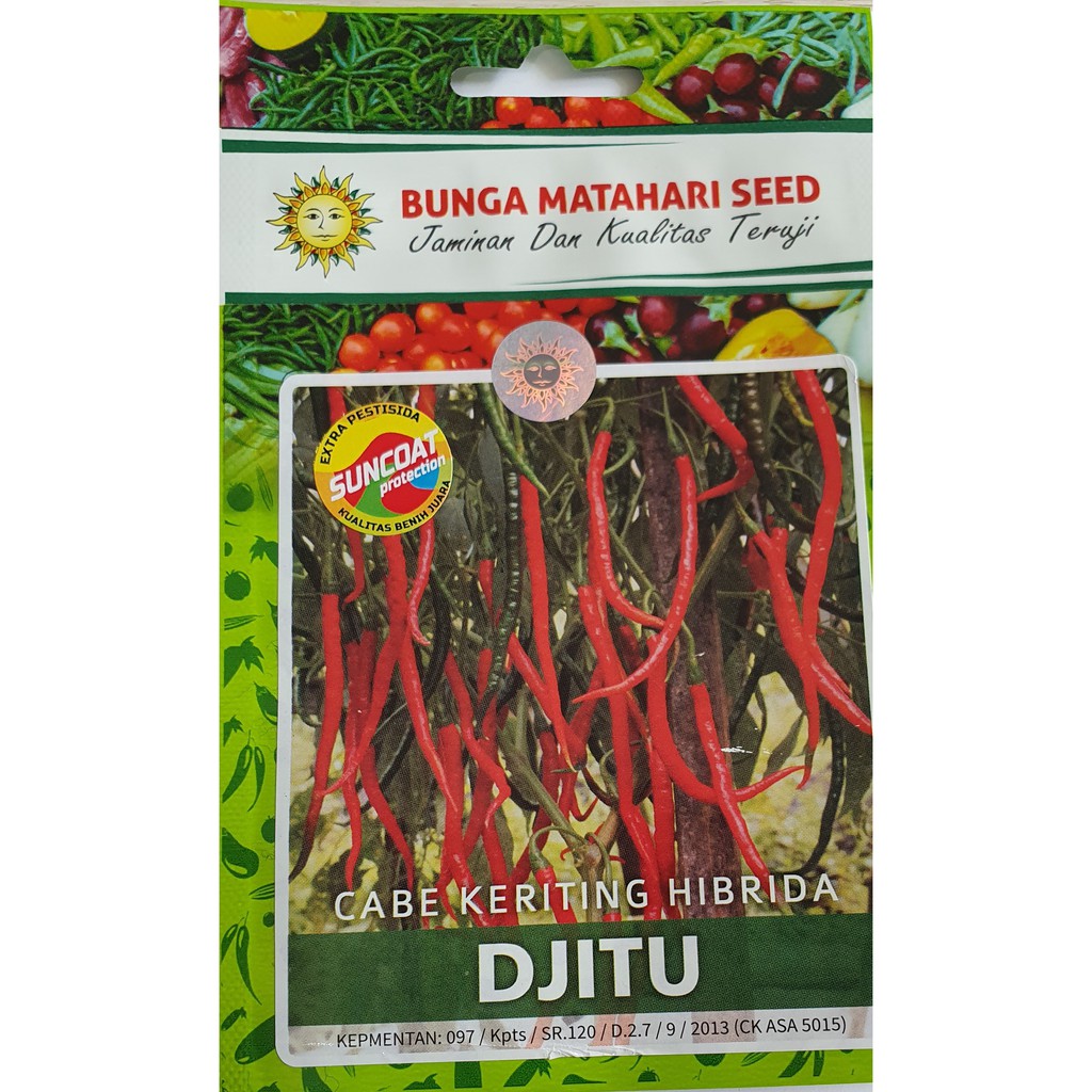 Benih Cabe keriting hibrida Djitu F1 (Cap Bunga Matahari) 50 butir (kemasan pabrik)