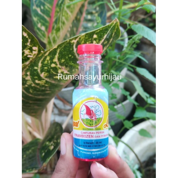 

Frambozen Essence Cap Kapal Layar