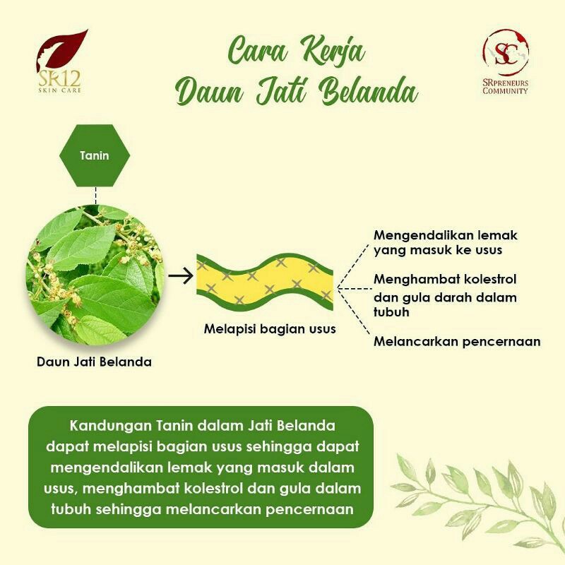 Salimah Slim SR12 Pelangsing Alami BPOM Obat Diet Herbal Aman Busui Original COD Resmi Official