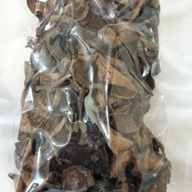 

Jamur kulat sisik khas bangka 100 gram