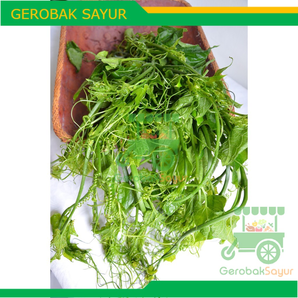 

Sayur Pucuk Labu 500 g