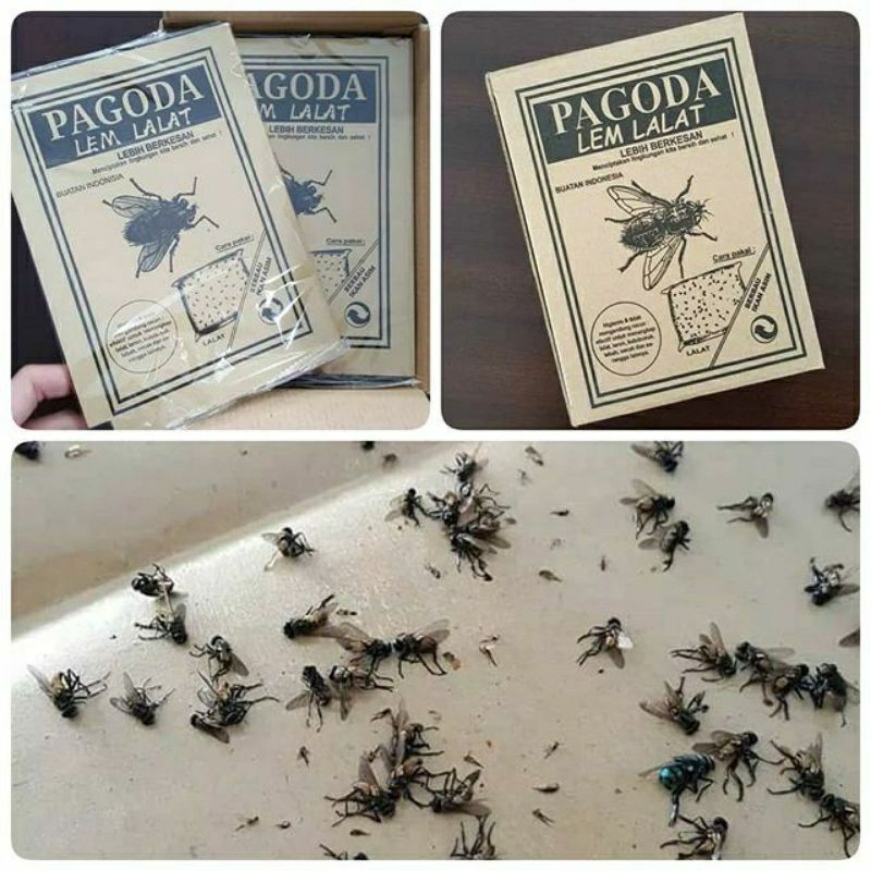 Lem Pembasmi Lalat Terbang Perangkap Lalat Hijau Hitam Murah Basmi lalat nyamuk aroma murah perangka