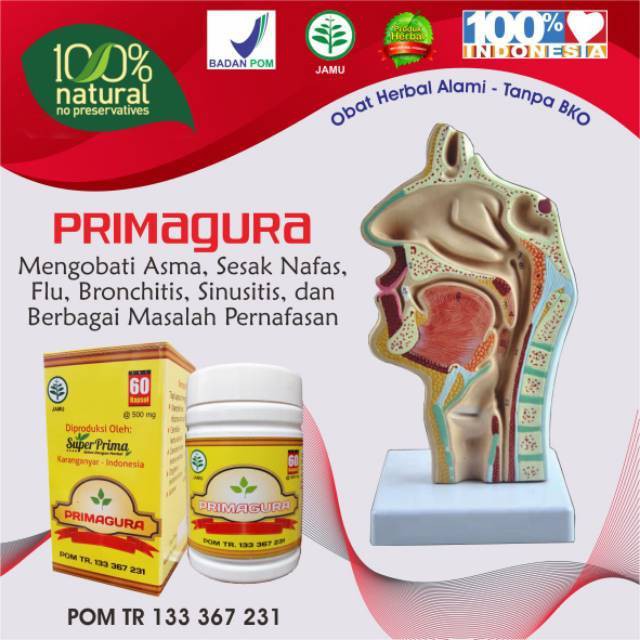kapsul Gurah jamu gurah herbal gurah (prima gurah)