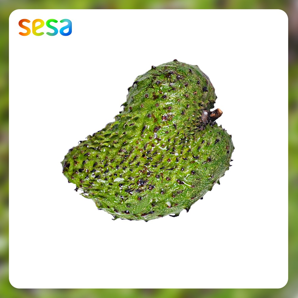 

Sirsak /pcs (0.6-0.7 kg)