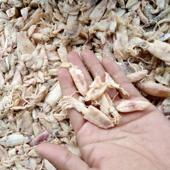 

5.5 SALE/〖5.5 FLASH SALE〗/STAR BRANDS/Star/〖5.5 Flash Sale〗 cumi kering 1kg kualitas super|baby cumi| cumi asin|ikan|ikan asin [_09]