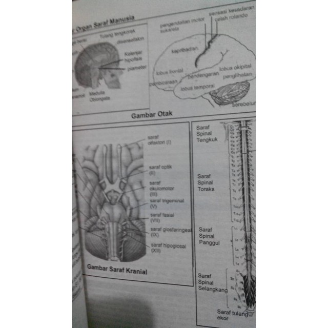 Menguasai Ipa Sistem Kebut Semalam/ Sks Ipa/ Sks Saintek/ Sks Sbmptn/ buku Sbmptn/ buku Utbk Saintek-2