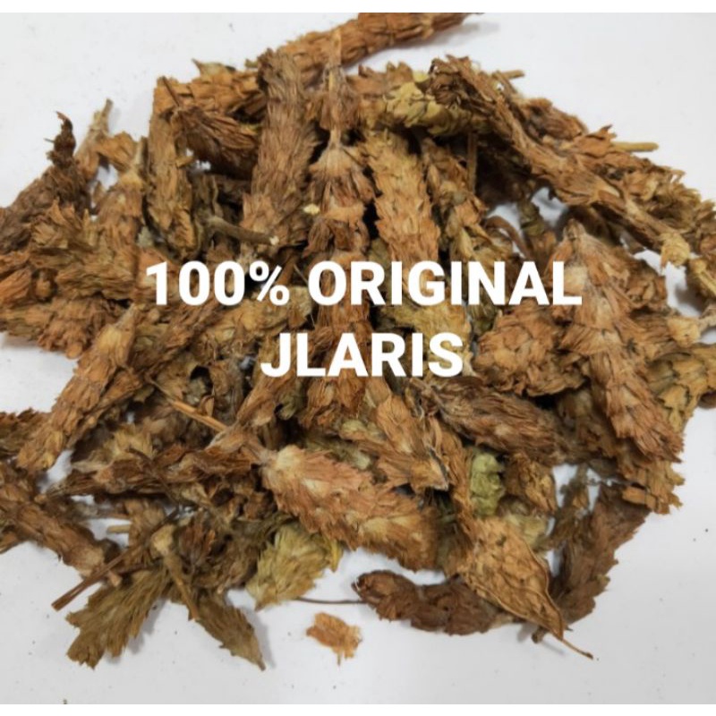 

Ramuan He ko cau 100gr / Xia gu cao / teh herbal / untuk panas dalam